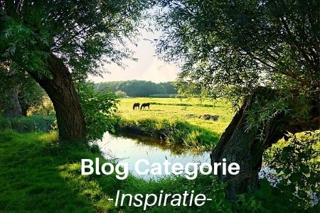 Blog Categorie, inspiratie
