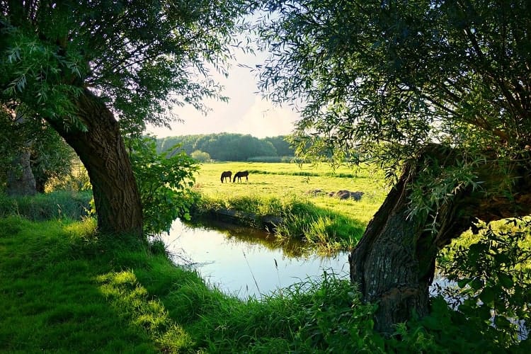 Top 3 provincies voor jouw groepshuis, Brabant
