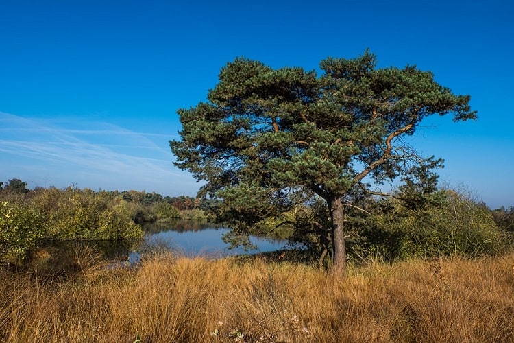 groepsaccommodaties middenin de natuur