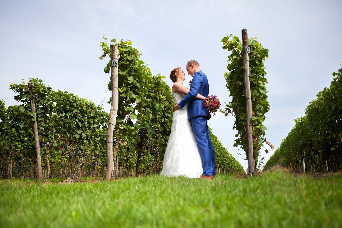 Trouwen-in-de-Wijngaard.jpg